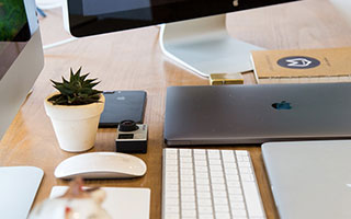 旺财28权威通道-官方网站：信任、透明与便捷的数字入口